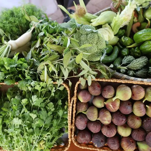 Al Hamriyah Municipality launches model community farm