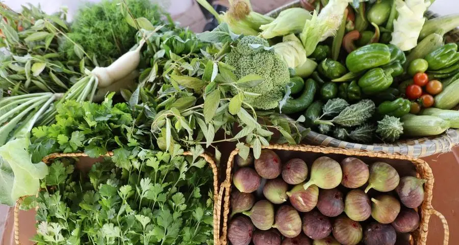 Al Hamriyah Municipality launches model community farm