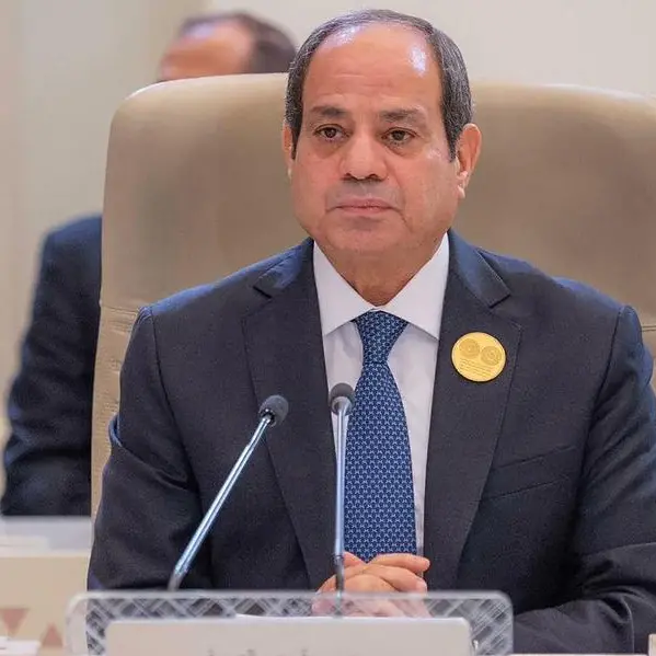 Egypt’s President reviews economic progress with PM, CBE Governor