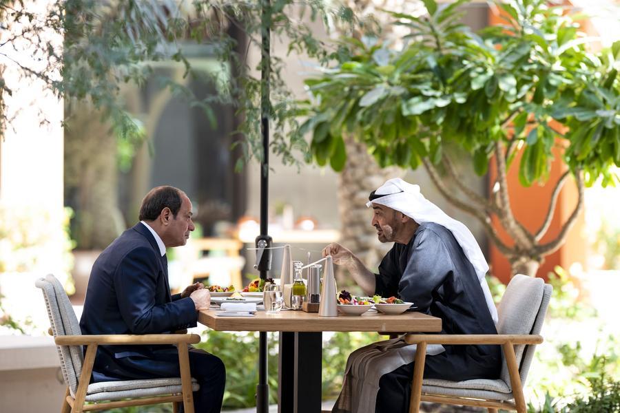 UAE and Egyptian Presidents review bilateral ties and regional developments