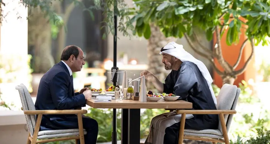 UAE and Egyptian Presidents review bilateral ties and regional developments