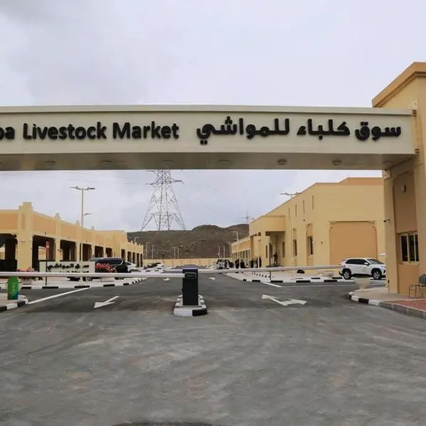 أسواق المواشي في كلباء وخورفكان تستكمل جاهزيتها التشغيلية لاستقبال عيد الأضحى المبارك