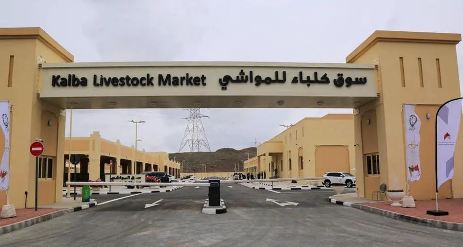 أسواق المواشي في كلباء وخورفكان تستكمل جاهزيتها التشغيلية لاستقبال عيد الأضحى المبارك