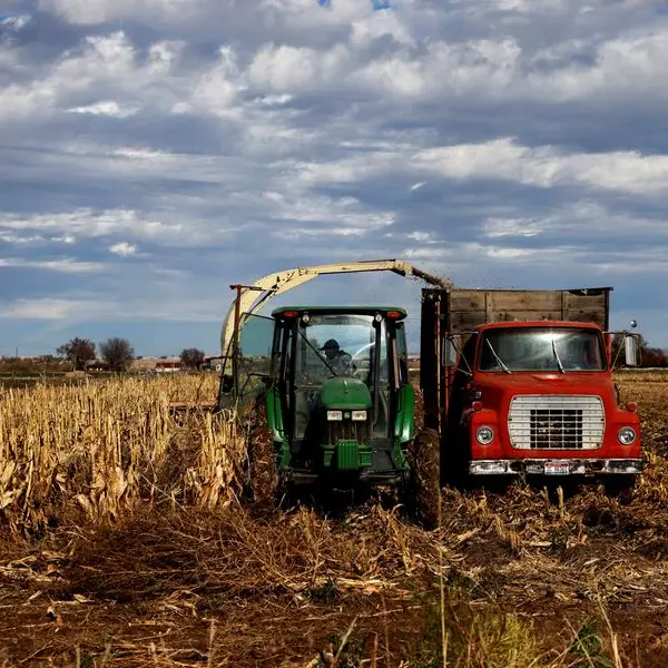 Spooked by tariffs, funds purge bullish corn bets in near-record fashion: Braun