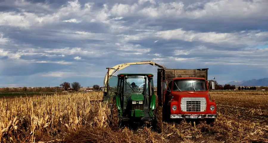 Spooked by tariffs, funds purge bullish corn bets in near-record fashion: Braun