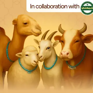 Noon Minutes launches expanded Udhiya (Qurbani) service for Eid Al-Adha in UAE & KSA