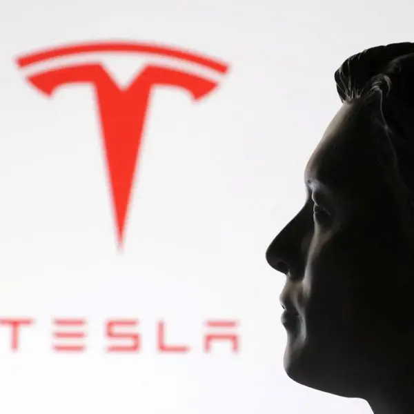 Tesla chair denies plans to look for new CEO to replace Musk