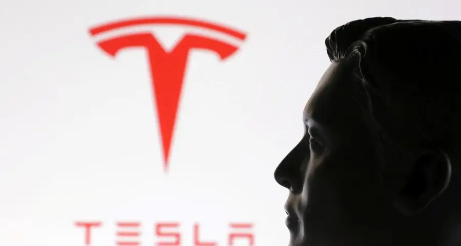 Tesla chair denies plans to look for new CEO to replace Musk