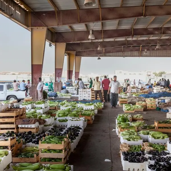 Qatar maintains strategic stockpile of essential goods for long period: Official