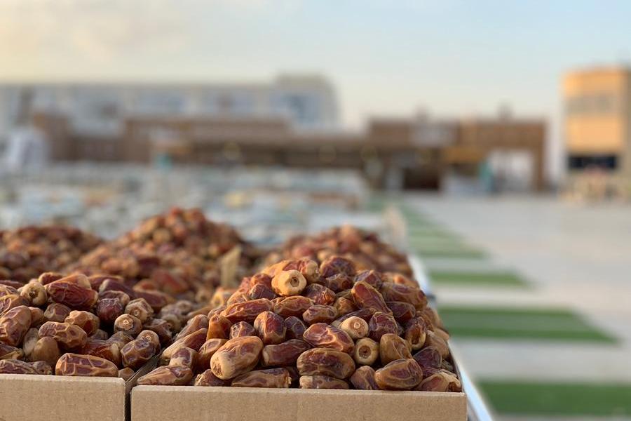 Value of Saudi date exports surpasses $506mln in 2025, up 14.3%