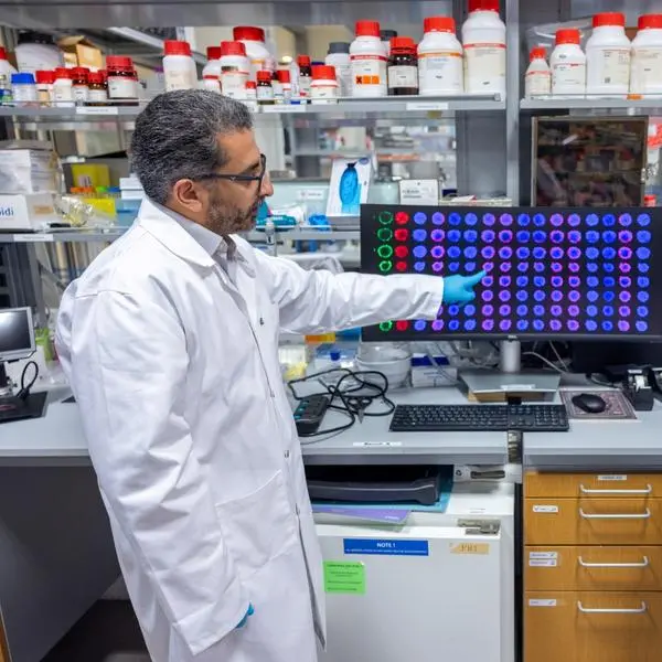 New paper-based technology could transform cancer drug testing