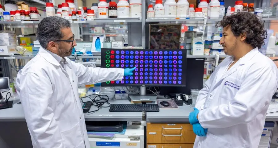 New paper-based technology could transform cancer drug testing