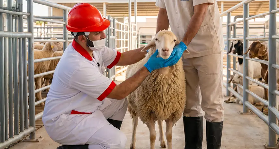 Dubai Municipality announces full readiness of abattoirs for Eid Al Adha with capacity to process 1,000 livestock per hour