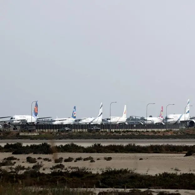 Airlines suspend Middle East flights