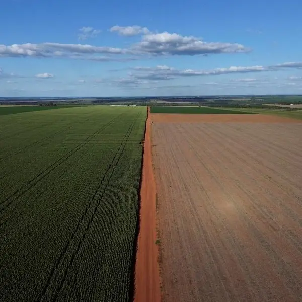 Soybeans fall for second session on improved weather, demand worries