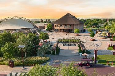 South Africa: Luxury safari travel shifts toward conservation tourism