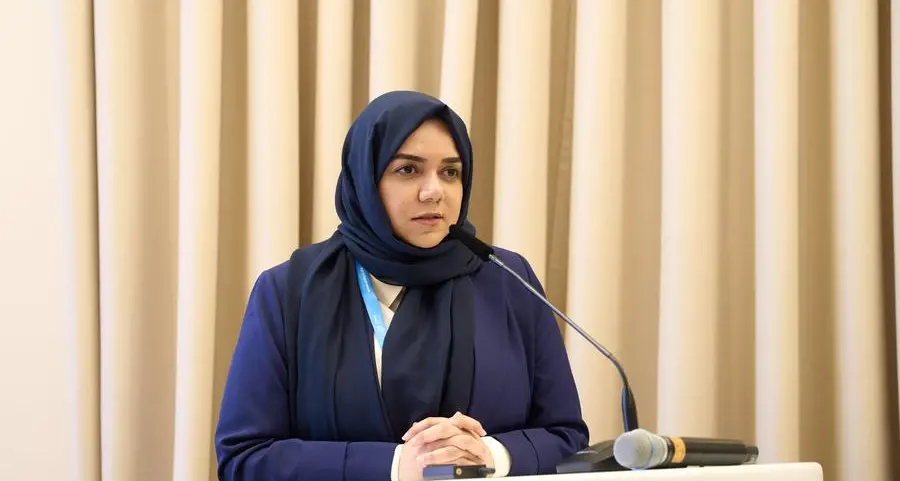 UAE advances climate action and sustainable development on multiple fronts at COP29 in Baku