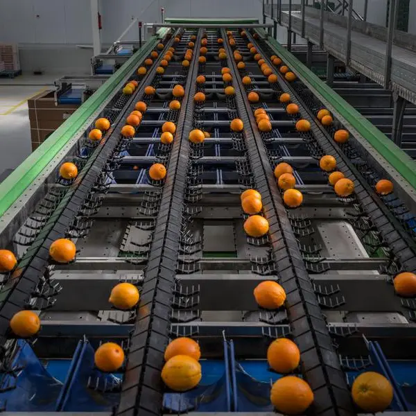 Egypt's commodity, vegetable prices varied on March 8