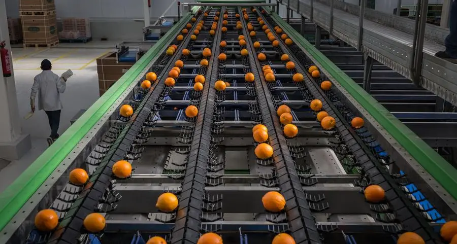 Food commodities, vegetables in Egypt fluctuate on March 11