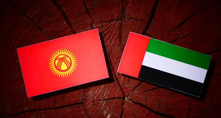 UAE-Kyrgyz Business Council discusses boosting cooperation in private sector