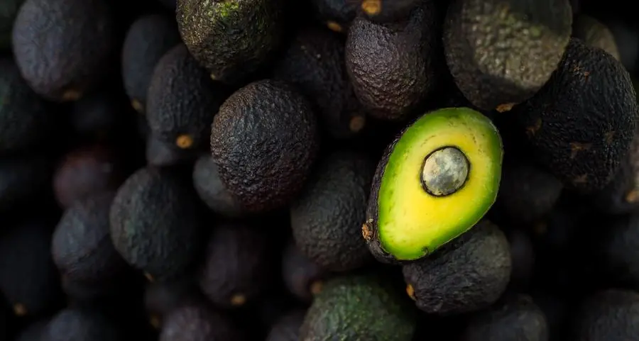 Philippines eyes $1.6mln exports of avocados to Japan in 2025