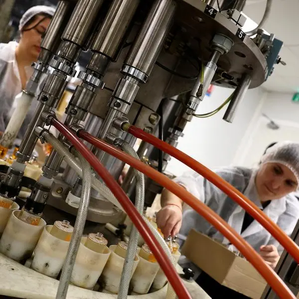 Euro zone business activity expands at fastest pace in 30 months in November, PMI shows