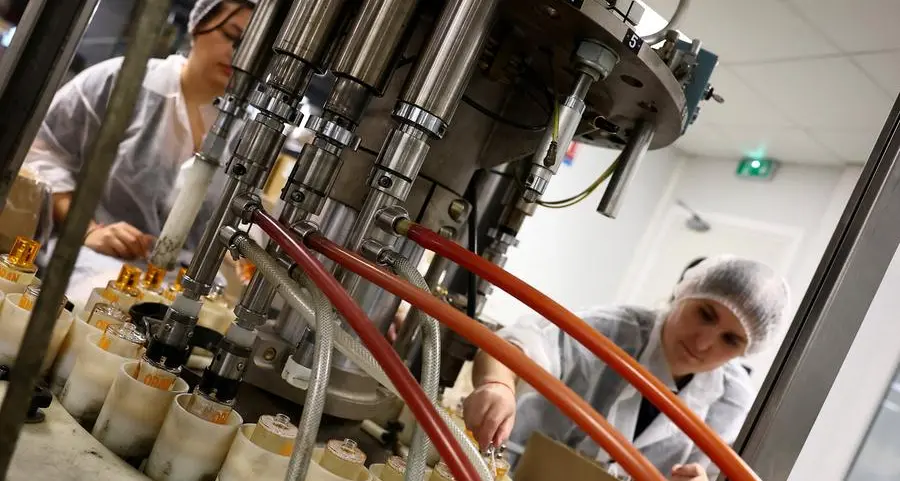 Euro zone business activity expands at fastest pace in 30 months in November, PMI shows