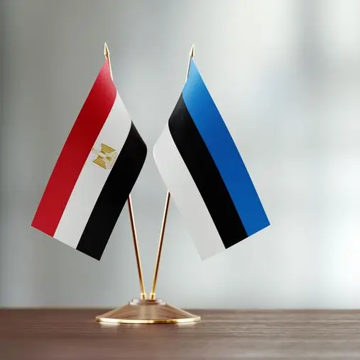 Egypt, Estonia leaders discuss bilateral ties, regional issues