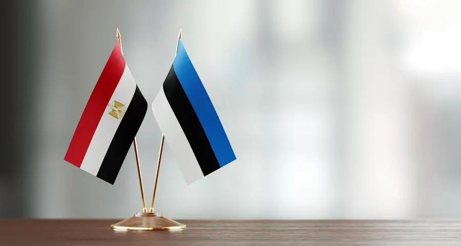 Egypt, Estonia leaders discuss bilateral ties, regional issues