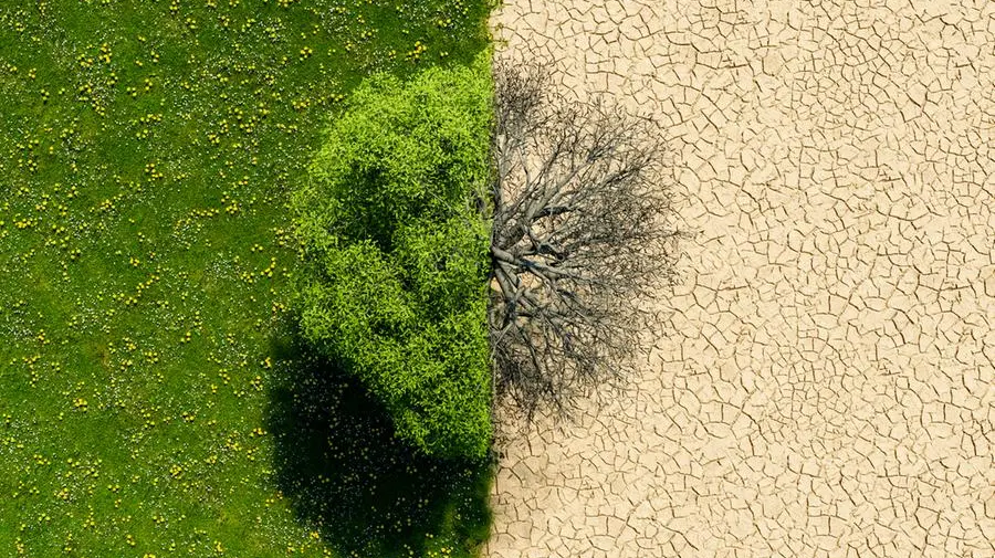 New study reveals global warming amplifies extreme day-to-day temperature swings