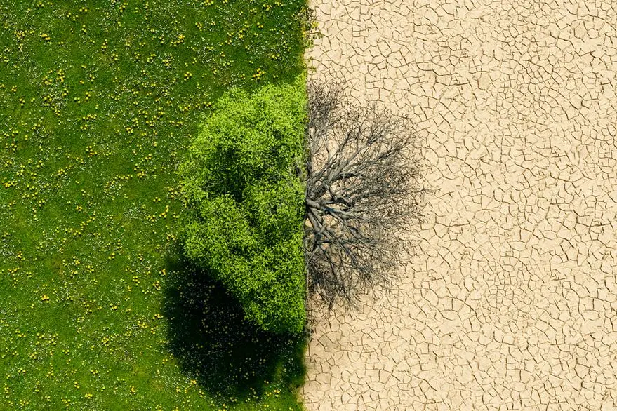 Drone view of a green landscape with half in drought. concept of climate change, environment and global warming. 3d rendering. Image used for illustrative purpose. Getty Images , Getty Images