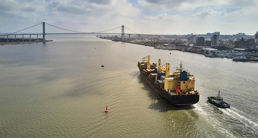 Mozambique's Maputo port volumes hit record 32mln metric tons