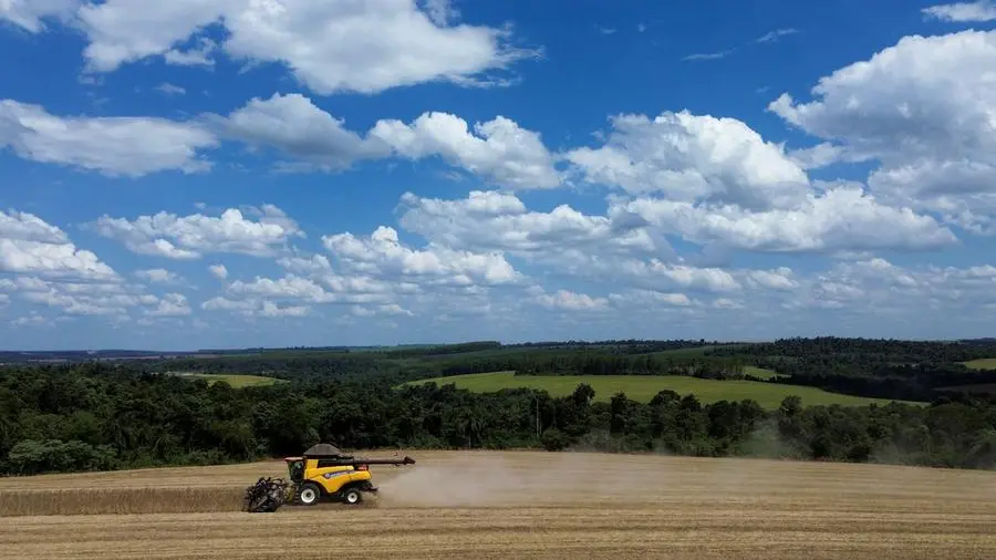 Soybeans rise after biggest drop since 2023 on potential Trump-Xi meeting delay