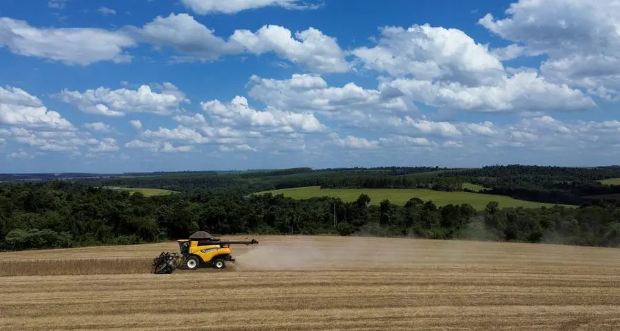 Soybeans rise after biggest drop since 2023 on potential Trump-Xi meeting delay