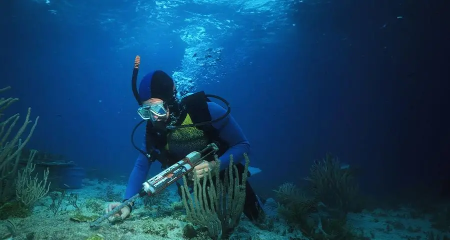 AD Ports Group issues 'Coral Relocation in the Arabian Gulf' report