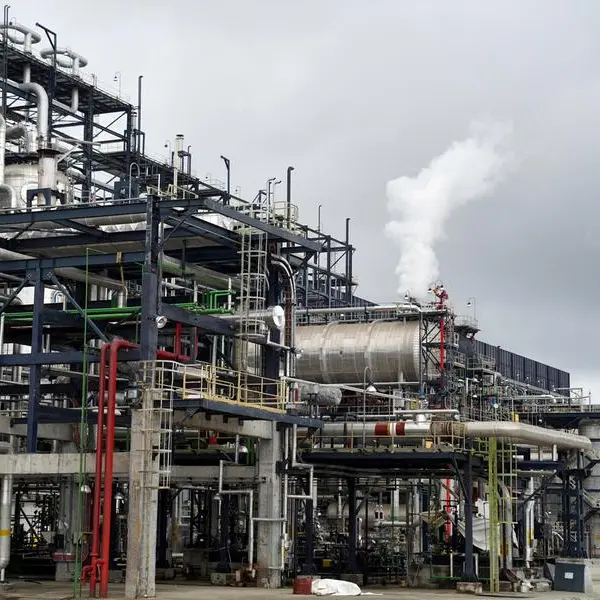 Egypt, Nigeria explore joint energy investments at Gastech 2025