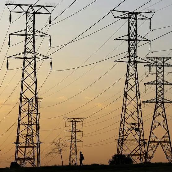 World Bank Group considers $500mln boost for South Africa's transmission expansion