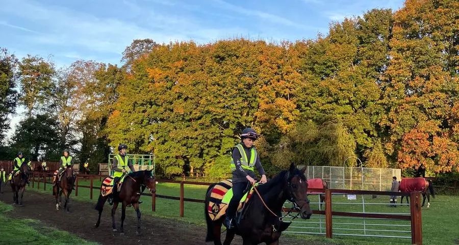 Sheikh Mohammed tops racehorse sale