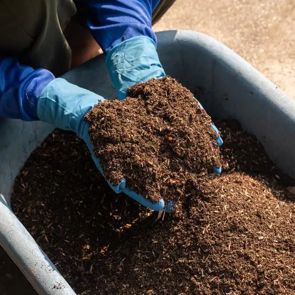 Egypt pursues expansion of biogas, organic fertilizer production from agricultural waste