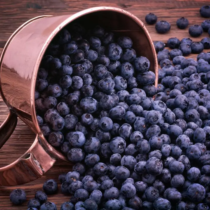 Zimbabwe has the world’s fastest-growing blueberry industry