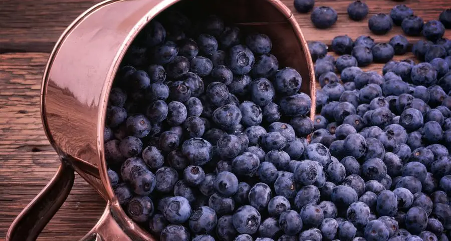 Zimbabwe has the world’s fastest-growing blueberry industry