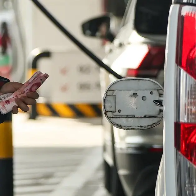 China limits fuel price hike to cushion impact of rising oil prices