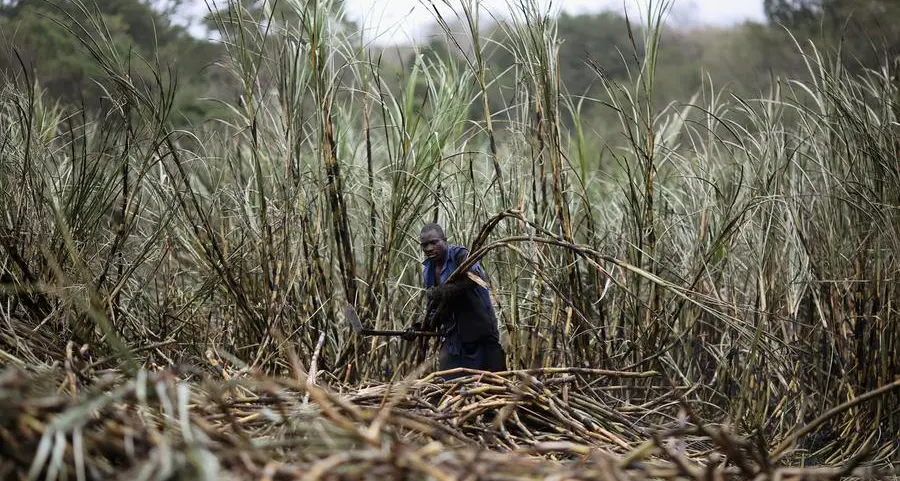 Muscat: Sugar refining project to boost food security