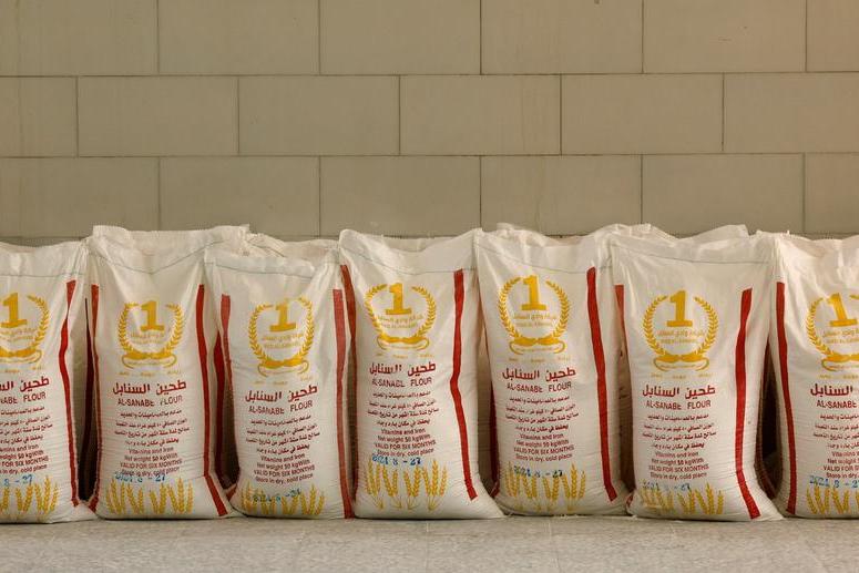 Arabian Mills to invest $123mln to expand output at Riyadh, Hail plants
