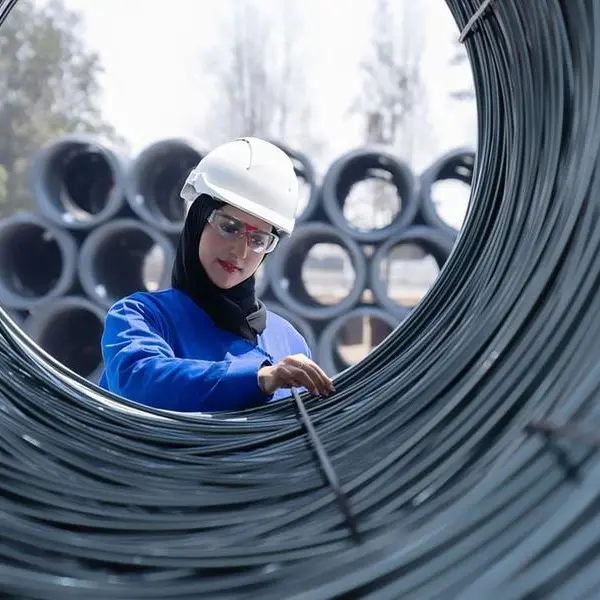 EMSTEEL delivers $599mln in revenue for Q1 2026
