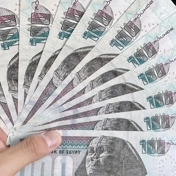 Egyptian insurtech SehaTech raises $1.1mln in seed funding