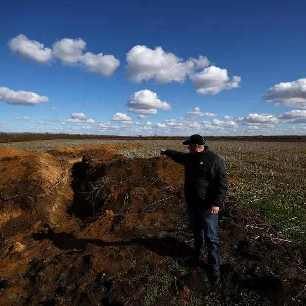 Facing minefields and cash crunch, Ukraine farmers to sow smaller crop