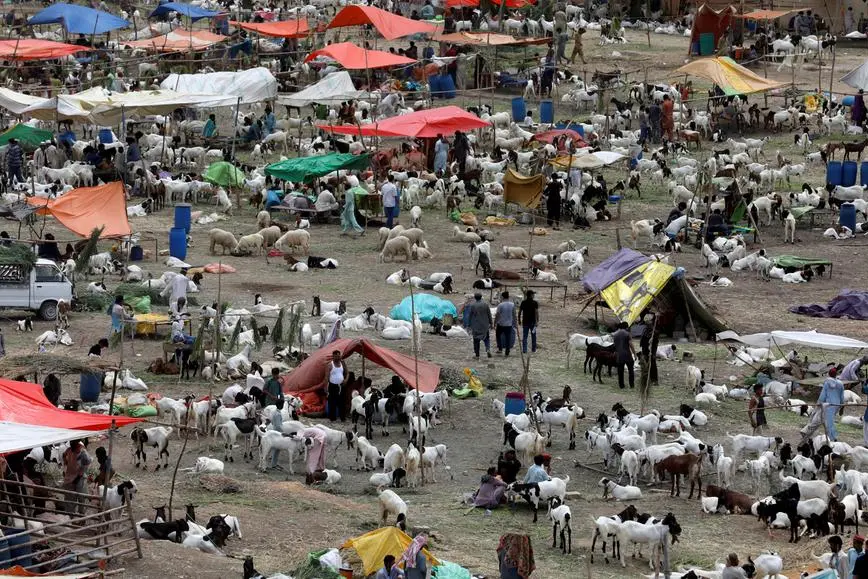 Reuters Images/REUTERS