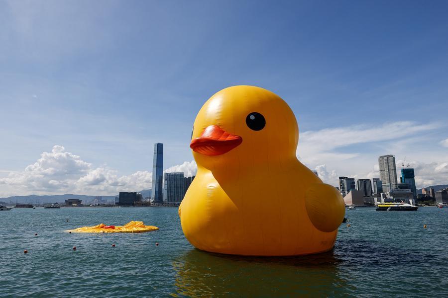 One Of Two Giant Rubber Ducks In Hong Kong Harbour Deflates