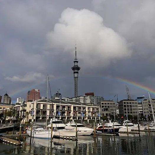 New Zealand may miss 2035 emission target, government report forecasts